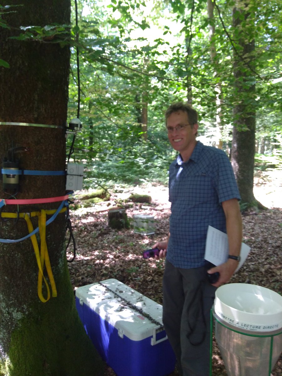 hydrojulian's tweet photo. Field day with @jan_seibert. Perfect conditions for detecting surface saturation with thermal infrared imagery @list_hydrocat #weierbach #hydrology https://t.co/TlIXujZR0K
