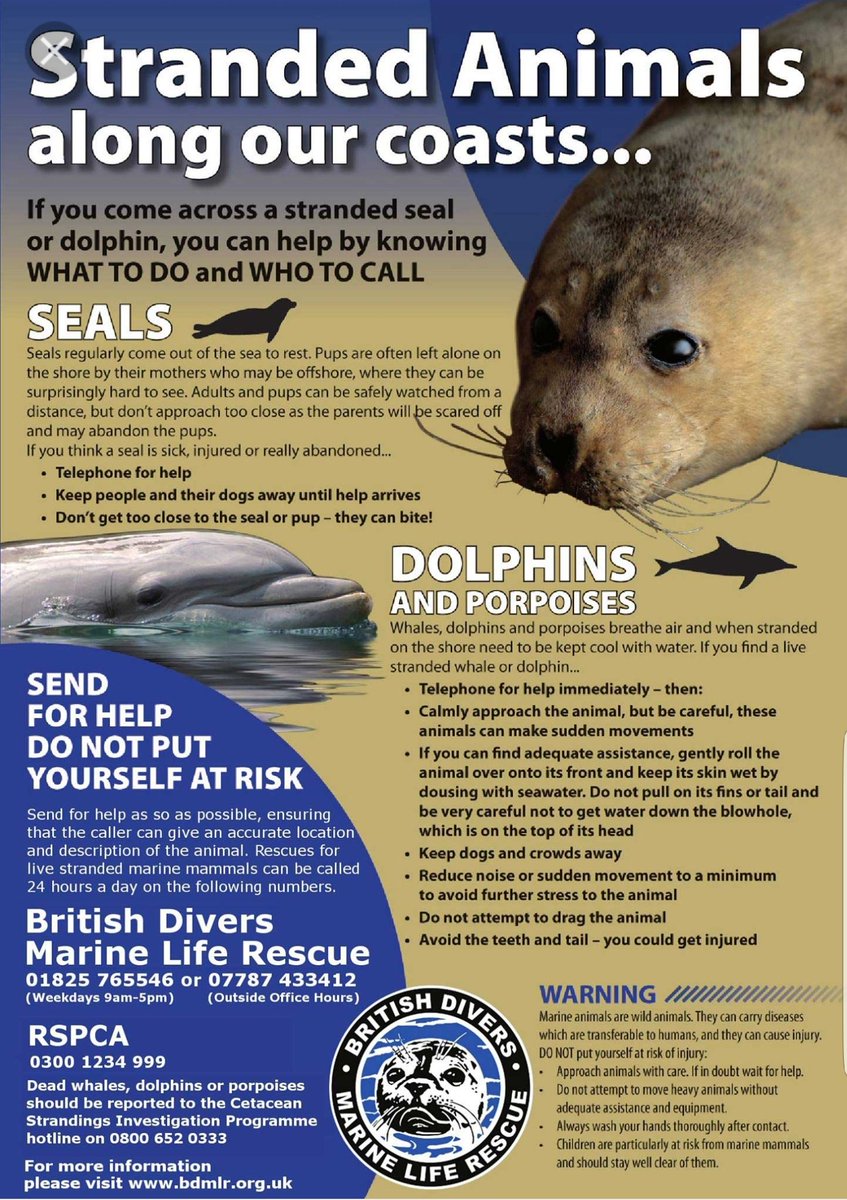 NWPRuralCrime's tweet photo. We regularly get calls about stranded seals and other marine mammals. Here is some good advice with contact numbers. https://t.co/hRbtNLK07o