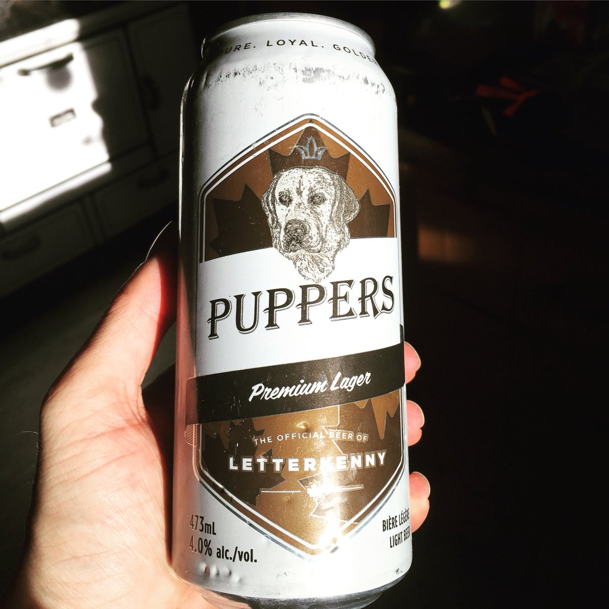 Mianmath83's tweet image. Somebody got me a fuckin’ Puppers! 
#Letterkenny #StackBrewing #Stack #craftbeer #beer #northernontario @LetterkennyProb @chadicus1340 @StackBrewing
