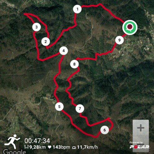 Pascal_CN's tweet photo. Ce soir c'était #footing en #nature en #Cévennes
Avec mes nouvelles #Nike #pegasus35 @NikeFrance
Très satisfait : elles seront à mes pieds pour Marvejols-Mende
Sortie mi #routemi #chemin vers 650m d'altitude
47' 9,3 km
#forzarunners
#PolarM430 https://t.co/hN2uMO6MyG