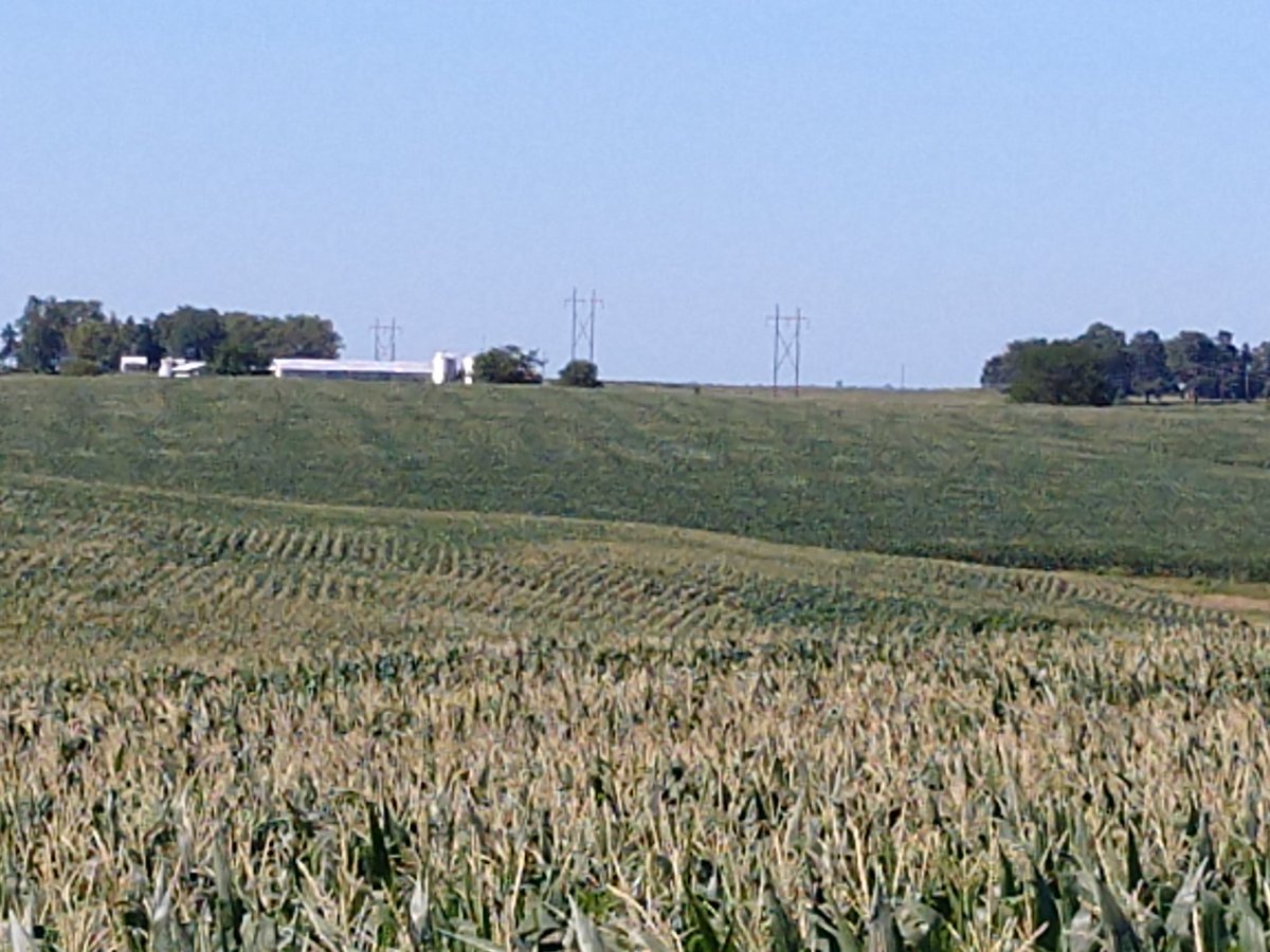 N burn still evident.