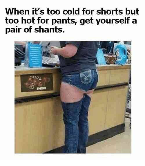 short shorts Memes  GIFs  Imgflip