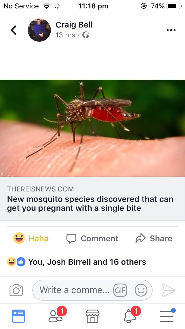 Michael Traynor tweet media