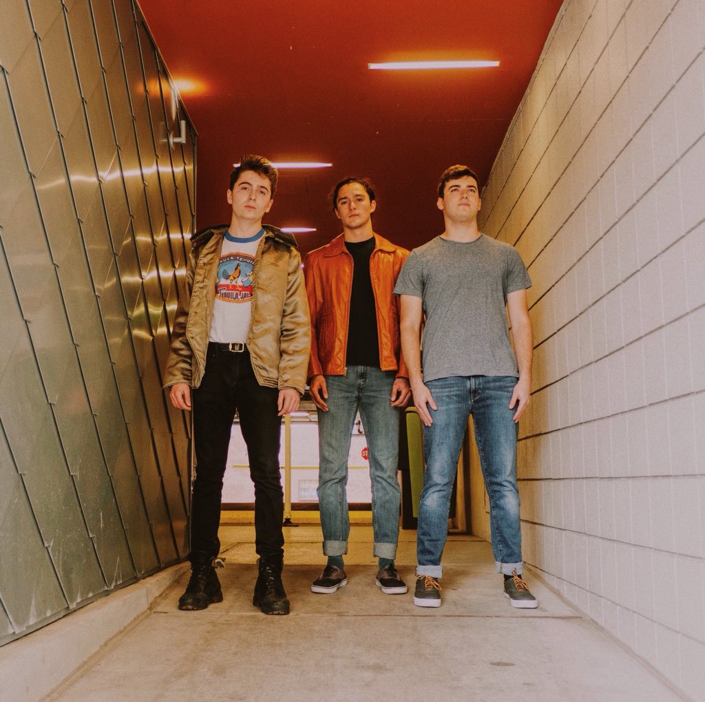 New Parlor tweet media