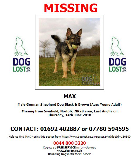 DogLostUK's tweet photo. #LOST #DOG  MAX  Male 
#GermanShepherdDog  
#Swafield  #Norfolk  #NR28 Thursday, 14th June 2018
#LostDog   @VetsGetScanning  @SAMPAuk_
 https://t.co/f03Z6weUXf https://t.co/9xIHIRIYI2