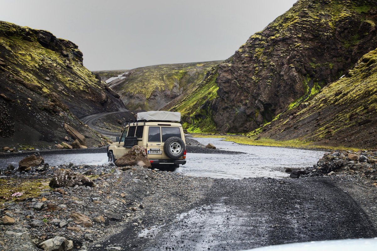 Nicola Gordon tweet media