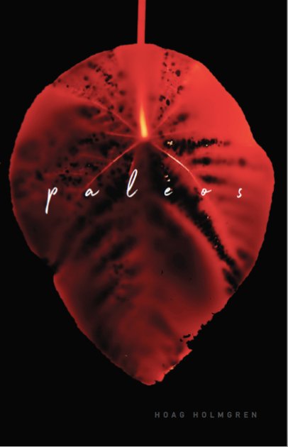 AudioMiddle's tweet image. In p a l e o s, Hoag Holmgren is a shew-stone gazing poet peering into the abstract glyphs of our paleolithic ancestors. P a l e o s, now available for pre-order at 20% discount, is soon to be released. Cover art by Klea McKenna, interior glyph renderings by the artist himself.