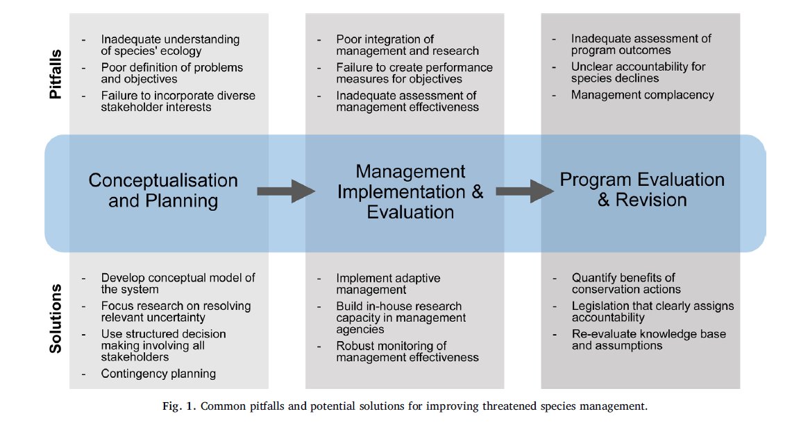 localization and delocalization in