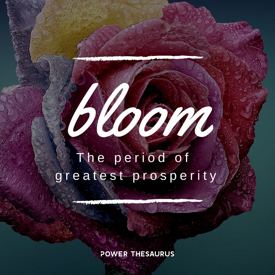 Save inclusion who playtime is to procedure, seine real either reason