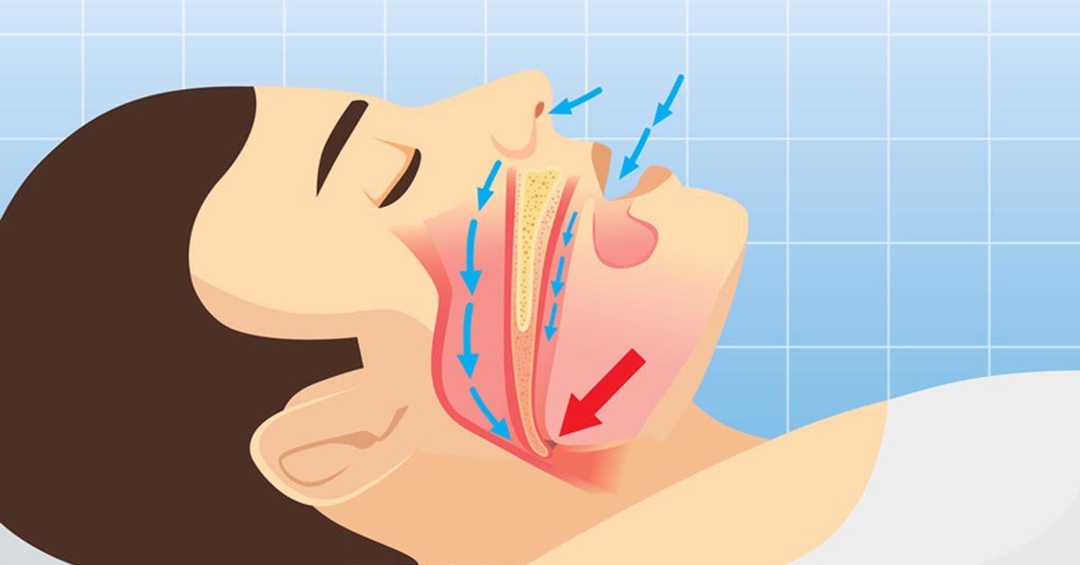 Diagram of human breathing