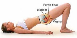 Coming soon to my YouTube Channel. . . 'What is Pelvic Floor Physical Therapy?'  Stay tuned... . .  #pelvicfloorphysicaltherapy #painfulsex #dyspareunia #incontinence #sexdoctor #sexaftercancer #obgyn #sex #lowlibido #painfulintercourse #lowdesire