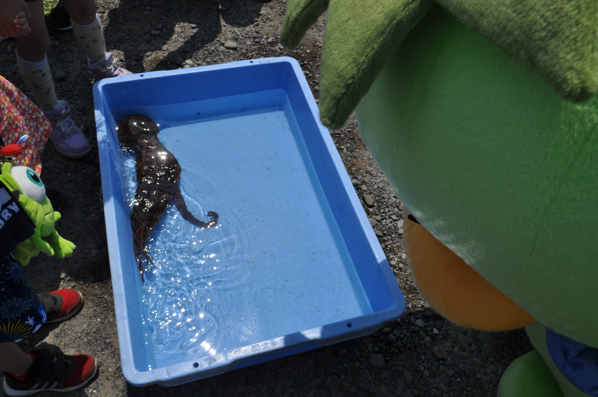 おたる運がっぱ 小樽のらびおくん 日本代表すごかったね なまらいい試合だったよね