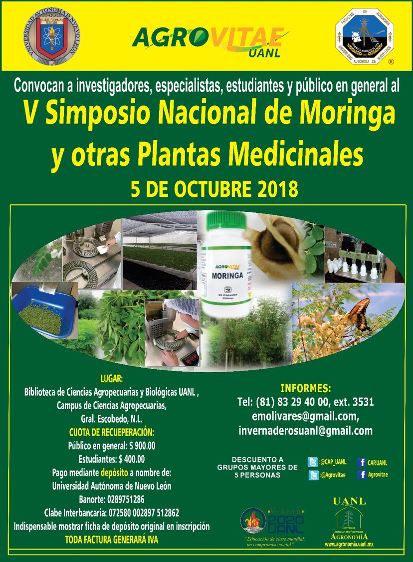 Moringa Agronomía (@Agrovitae) / Posts / X, image size:828x1125