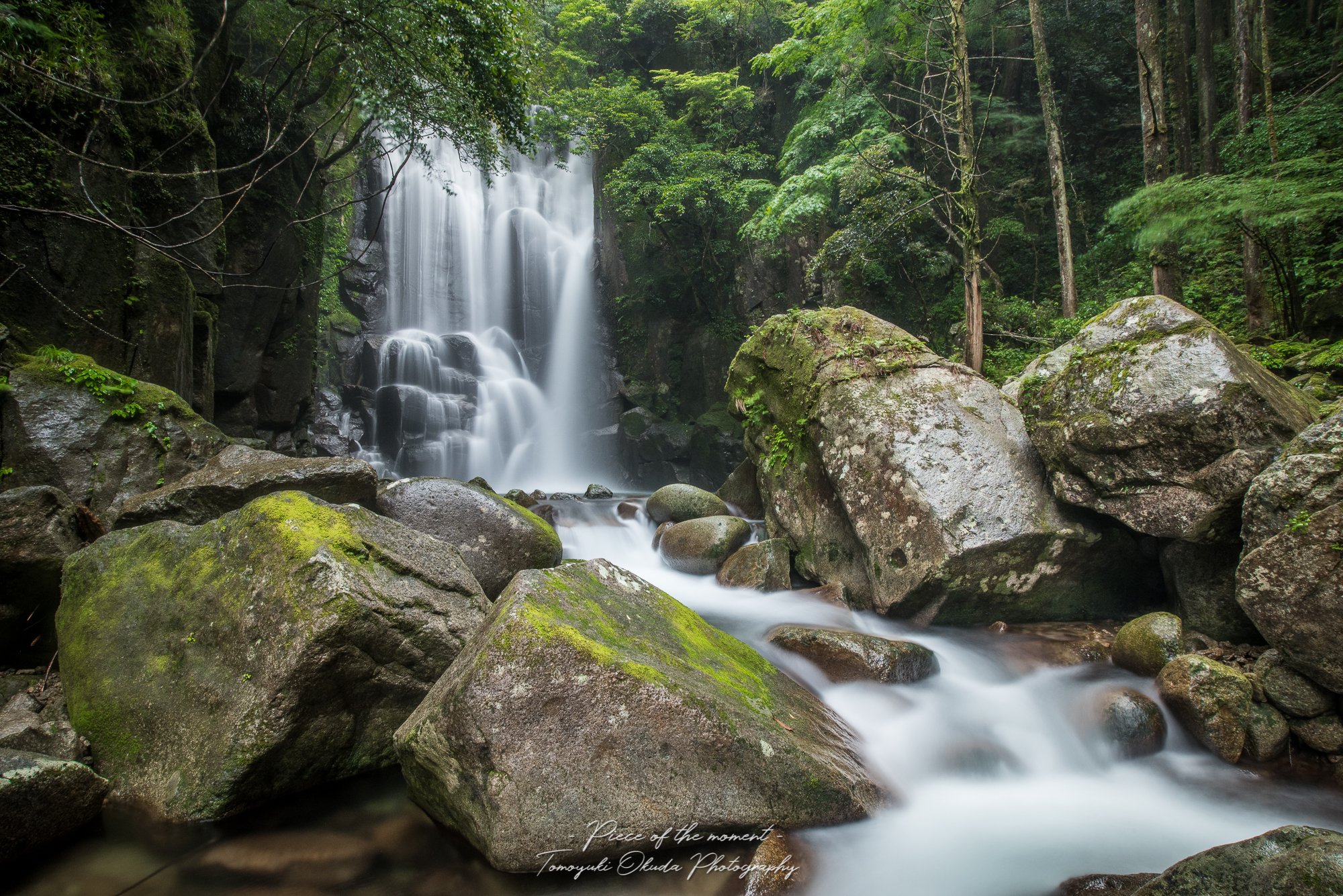 桑ノ木の滝 Twitter Search Twitter