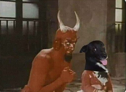 vai la latir de madrugada quando seu dono tiver voltando escondido do role