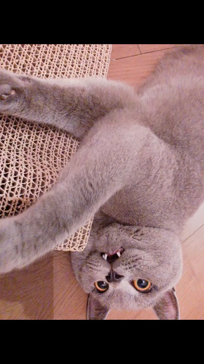 ぐりちゃんポーチ🙈🙈💗💗