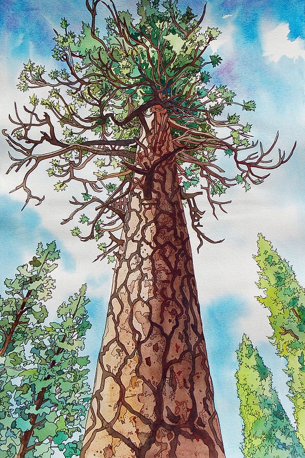 celaine_charles's tweet photo. “That Pine” is an autobiographical poem you can read in my “Colors” series on Channillo. Come support my work and raise money for families facing homelessness: https://t.co/MMwxEemAyW #WritingLife #poetrycommunity #Channillo #POEMS #stepsinbetween
Painting by Terry Holliday https://t.co/fG6Thgd2f7