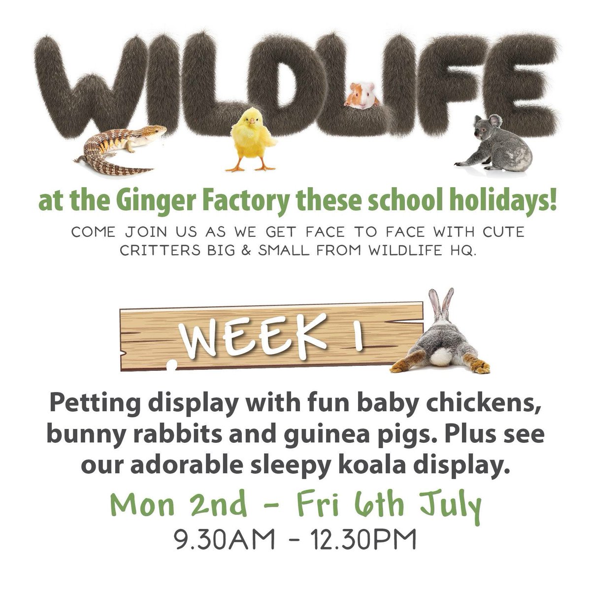 Who's joining us for the first week of our #schoolholiday fun with a FREE petting #animal area and #koala visit? 🙋 #sunshinecoast #holidays