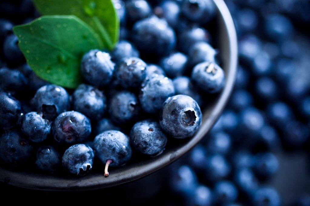 Lemongrass_Spa's tweet photo. July is #BlueberryMonth! Rich in antioxidants, add this superfood to oatmeal &amp; smoothies or snack on a handful to help maintain a glowing complexion &amp; healthy hair #wellness #blueberries #antioxidants https://t.co/qgiHmWdiEL