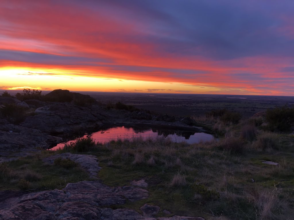 EmmaKealyMP's tweet image. Stunning sunset reflecting on a water pool atop Hollow Mountain in the gorgeous #Grampians National Park. 
We live in a truly beautiful part of the world, get out and see it.