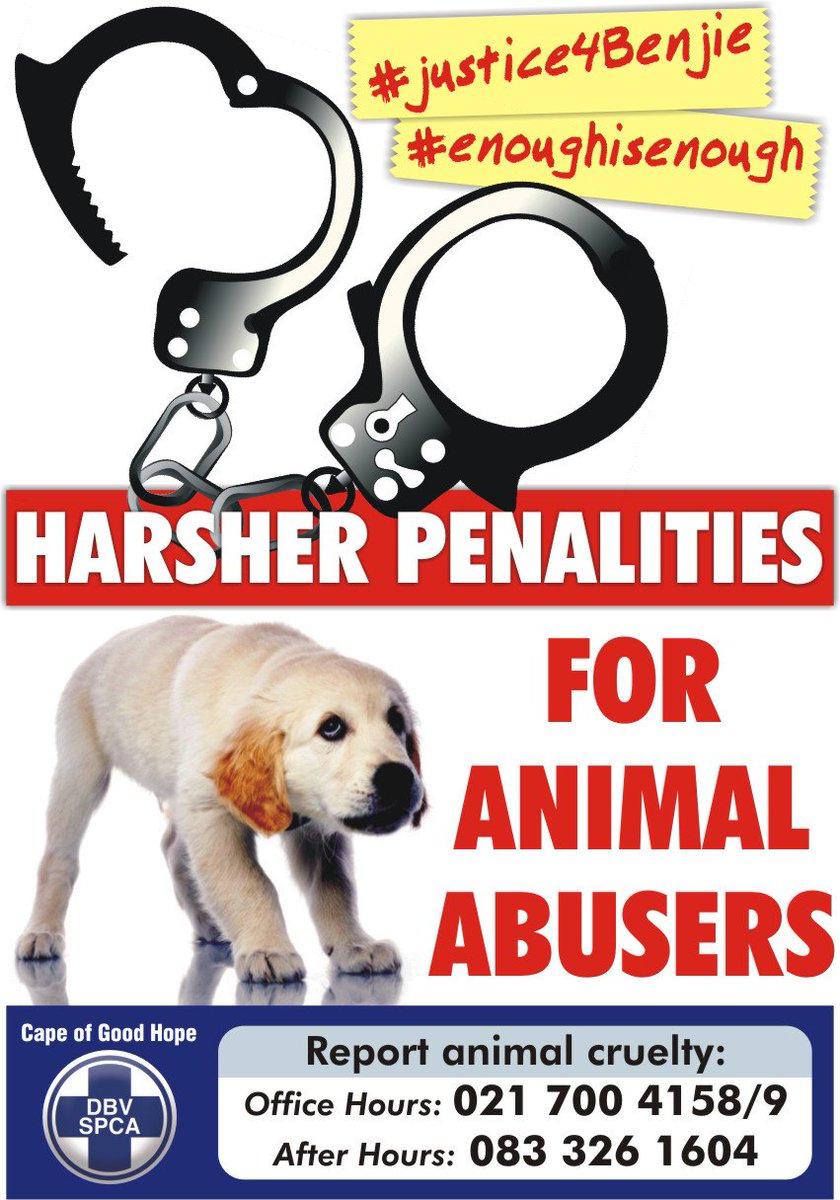 Cape Of Good Hope Spca On Twitter Let S Call For Harsher Penalties For Animal Abusers Justice4benji Download Our Protest Posters Https T Co Asypck8jne And Stand With Us Against Animal Cruelty Https T Co Qldrdohg9i cape of good hope spca on twitter let