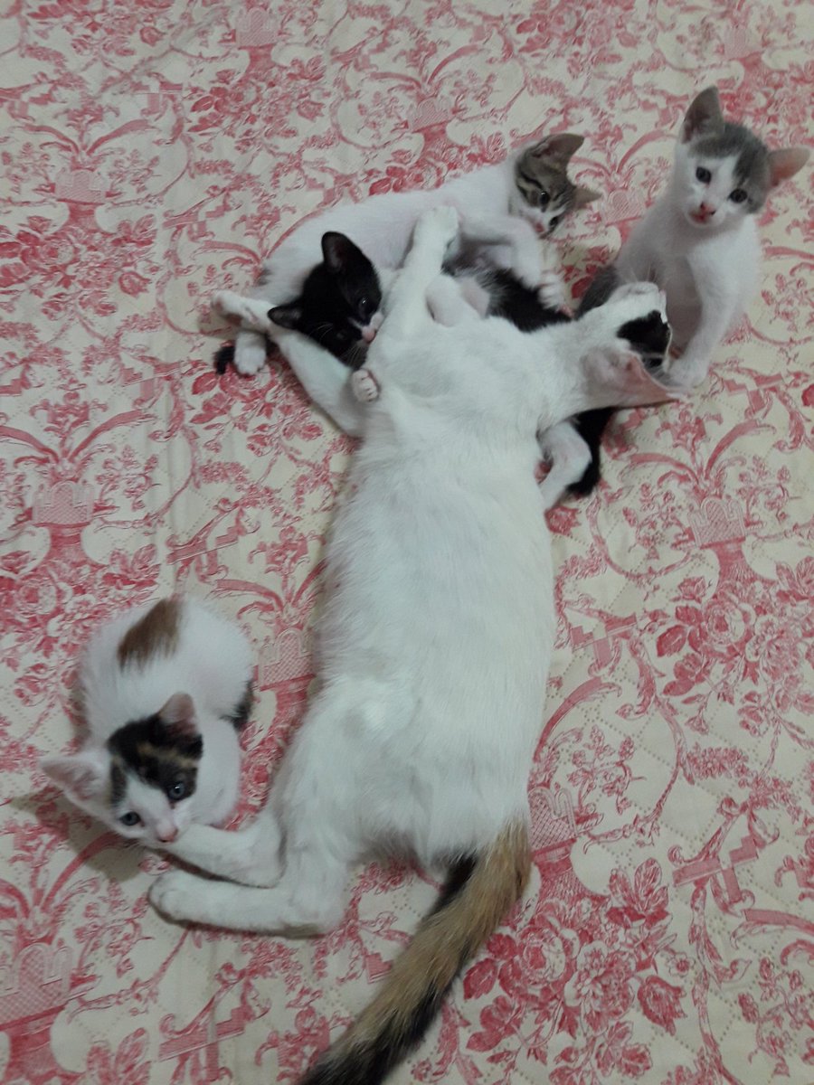 Bebişler büyüdüüüüüü .