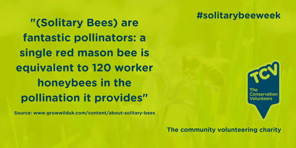🐝Supporting #solitarybeeweek during #solitarybeehour! Will you join @SolitaryBeeWeek &amp; create a real buzz? 🐝

solitarybeeweek.com

#earnyourstripes #solitarybeehero 🐝
