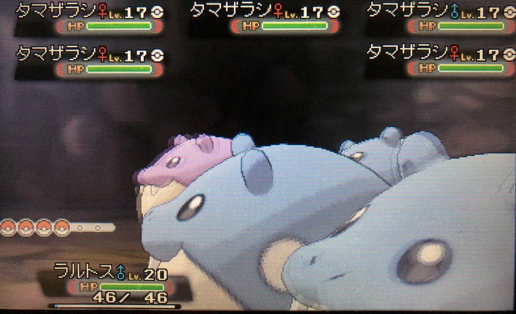 ギロチンおっしょさん Sur Twitter た タマちゃんだ 本命の固リセは未だ不発なのですが同時進行の群れで本日2匹め シンクロも成功ォォ タマちゃん最高 タマちゃん万歳 色違いポケモン タマザラシ 群れバトル 和尚さんの色行脚 タマちゃん