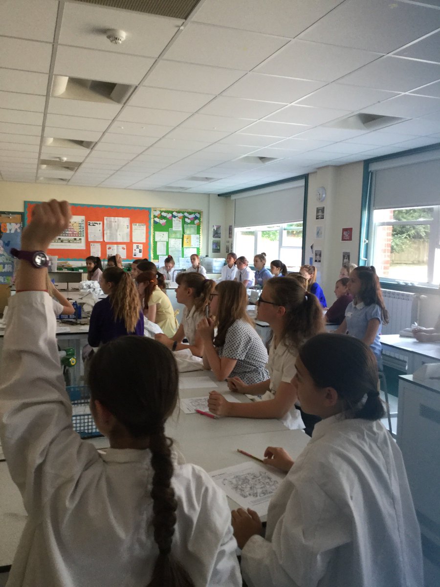Head of Year 7 tweet media