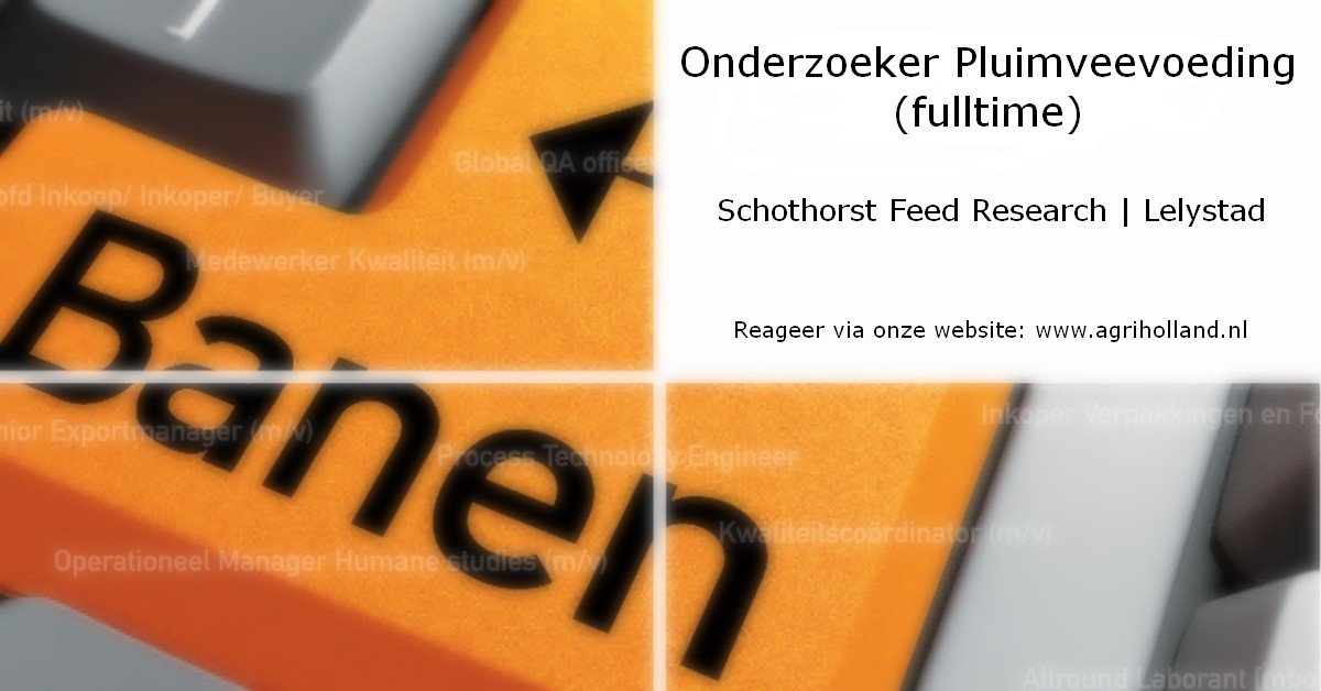 AgriHolland's tweet image. #vacature @SFR_lelystad: Onderzoeker Pluimveevoeding bij Schothorst Feed Research in Lelystad #veevoeding #pluimvee #onderzoeksprojecten. Zie agriholland.nl/vacaturebank/v…