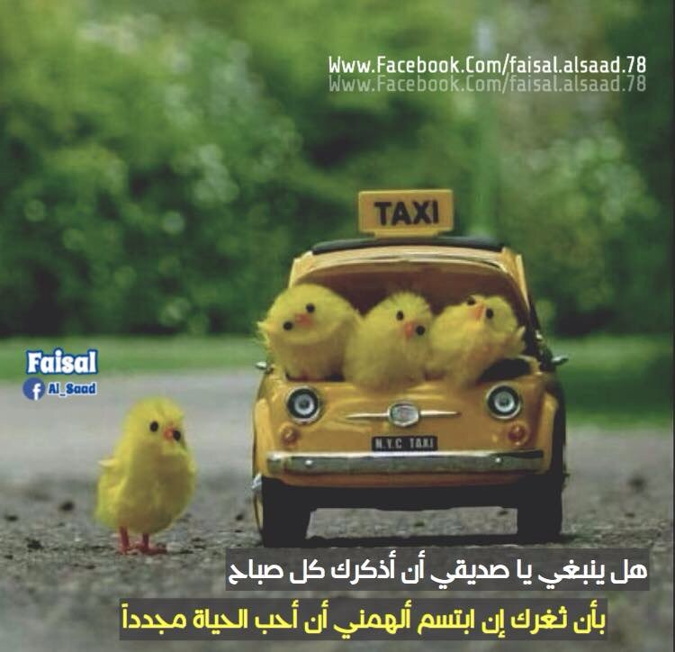 آجَمَلَ حَگِآیِہَ (@alasiri48537958) on Twitter photo 