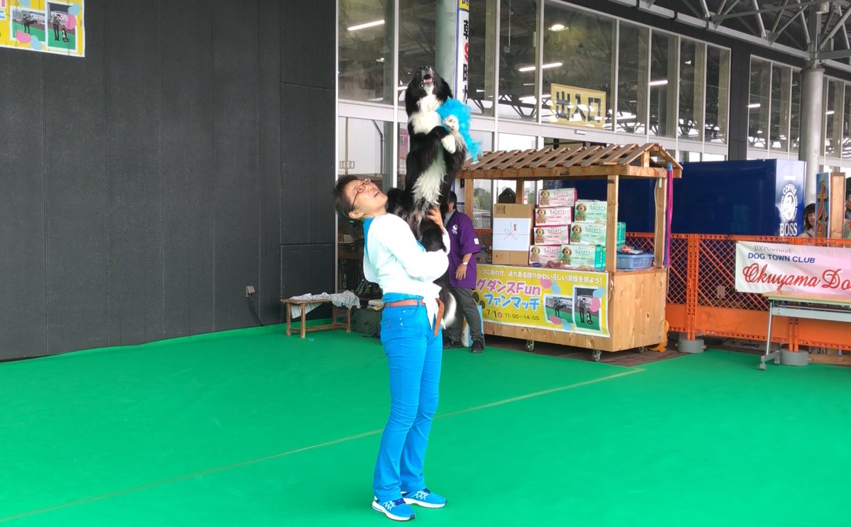 ジョイフルエーケー帯広店