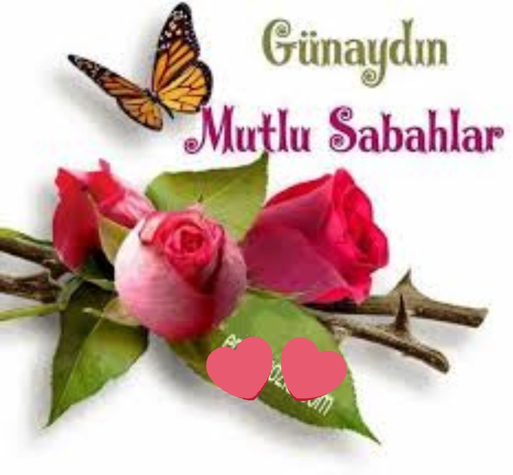 ylz🍒yvz bursa çift (@ylzcift) on Twitter photo 