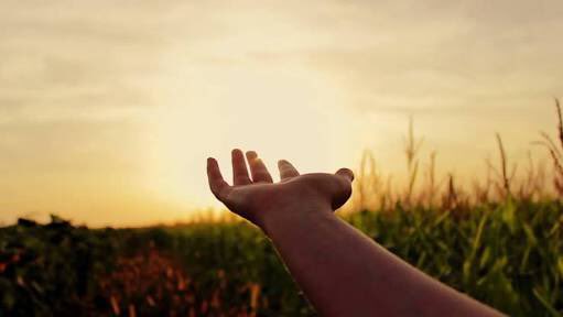 Bir ülke hayal ediyorum:

Çocuklarını iyi eğiten, ekonomisi üreten, adaleti kişi/makam gözetmeksizin bağımsız şekilde dağıtan, okuyan, özgür, demokratik, dinî sadece manevi yönüyle yaşayan, ötekileştirilmeyen, barışçıl, bilinçli ve hakkaniyetli bir ülke…

#BirÜlkeHayalEdiyorum