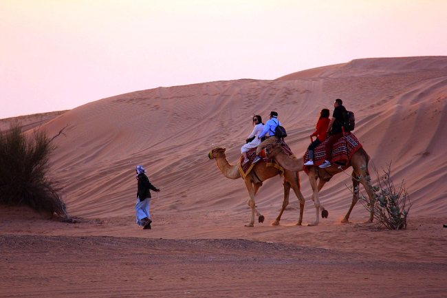 CheapDesert's tweet photo. Enjoy the Camel Safari in Dubai at discount price - https://t.co/M0Yyli3anm #camelridedubai #camelsafaridubai #cameldubai #cameldesertsafari #camedesertsafaridubai https://t.co/uYlQXXUUXa
