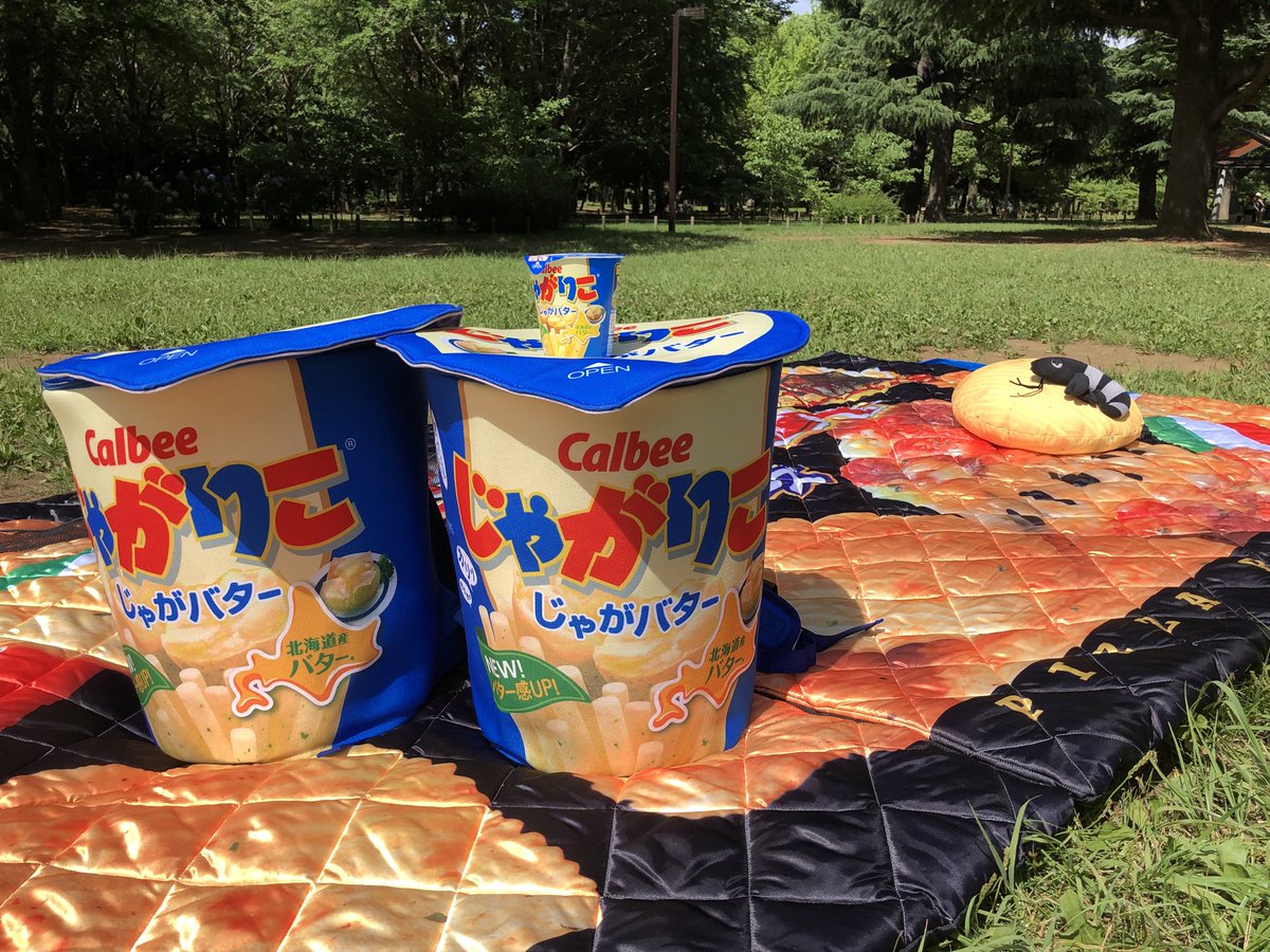 黒エビが心配だから付いてきたけど聞いて？東京33℃☀️ 外に寝袋広げて