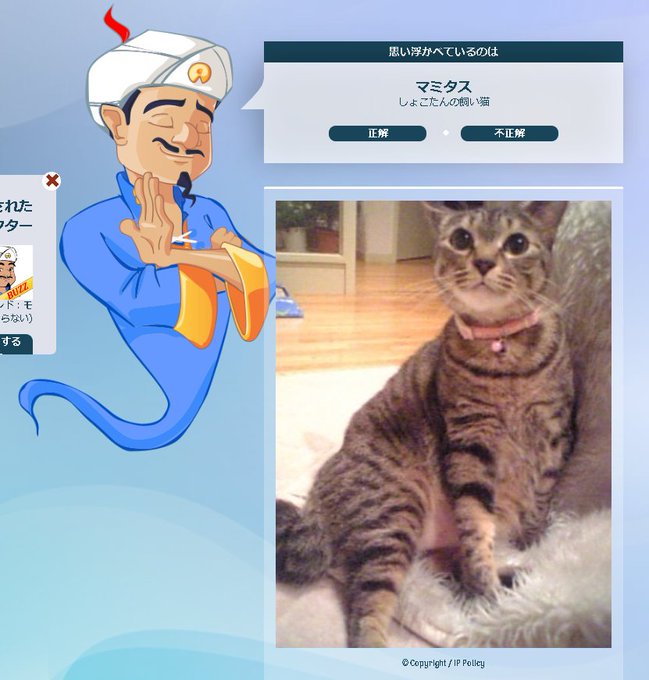 凄いぞ岩切 S Recent Tweets 21 Whotwi Graphical Twitter Analysis