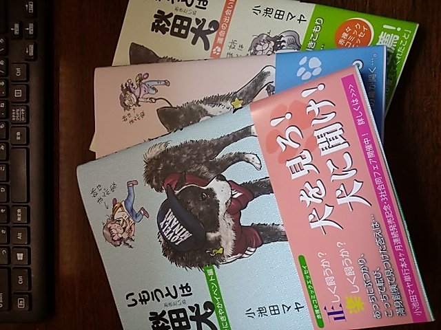 いもうとは秋田犬
