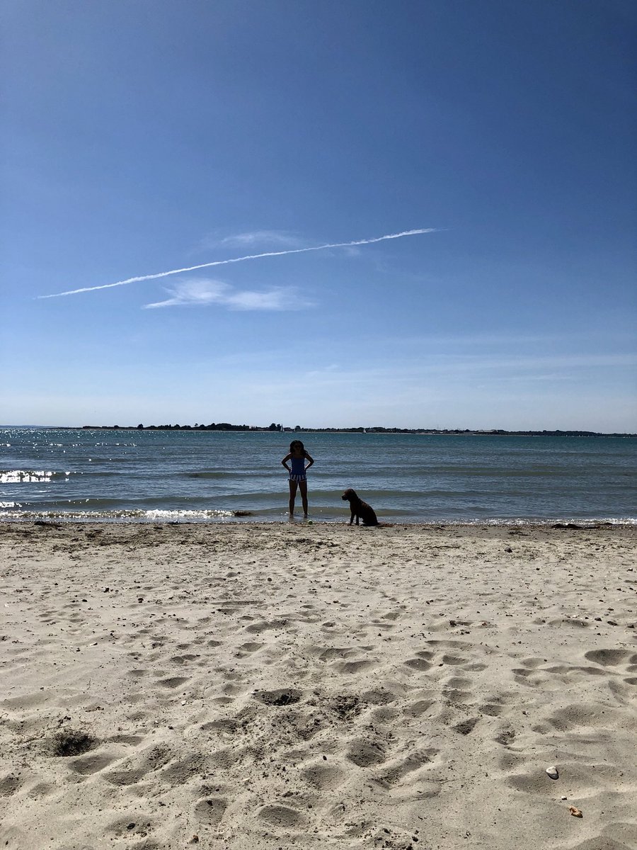 LuckyCockapoo's tweet image. Trip to beach yesterday. I managed to steal someone’s flip flop and run off with it, good game of chase 😂