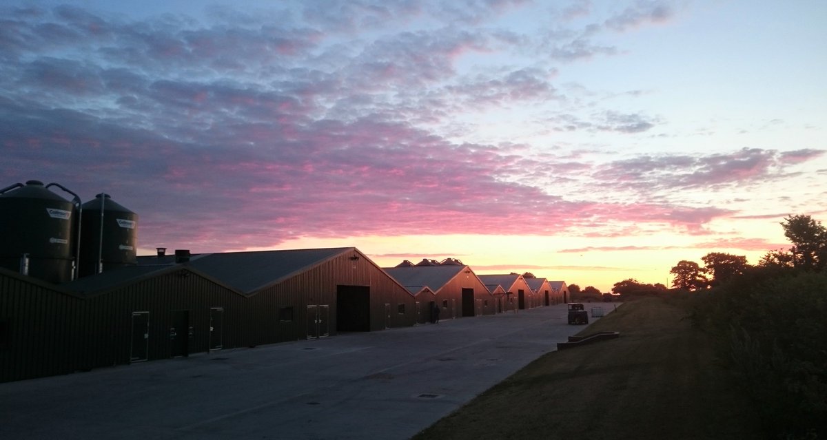 Michaela Ann Gourlay tweet media