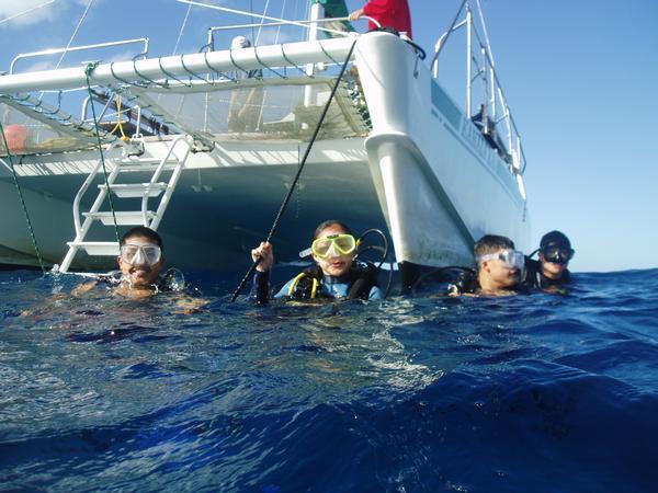 RainbowScuba's tweet photo. KGoetz2005 : Wonderful turtle!
#Hawaii #scuba #Gopro #diving with #turtle #blueocean #underwaterfun #greenseaturtle #divingexplore #mondayturtle #wonderfulturtle #greatdiving #beautifulhonu🐢 with hawaiiscubadiving #honolulu https://t.co/0E4MTTezOT … https://t.co/QD3eRvaO0h) https://t.co/20sLpoFG3U