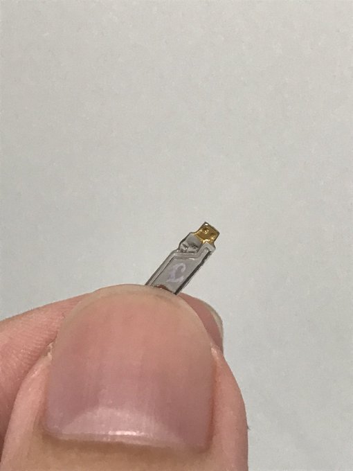 この前の地震でなくなったと思ってたS.I.C.仮面ライダーWのジョーカーメモリが見つかったという報告です 