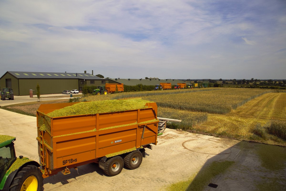 Michaela Ann Gourlay tweet media