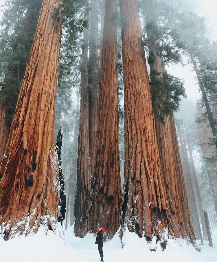 _itsTshepi's tweet image. Yetsang  #ColdFront mo Ngwneng??