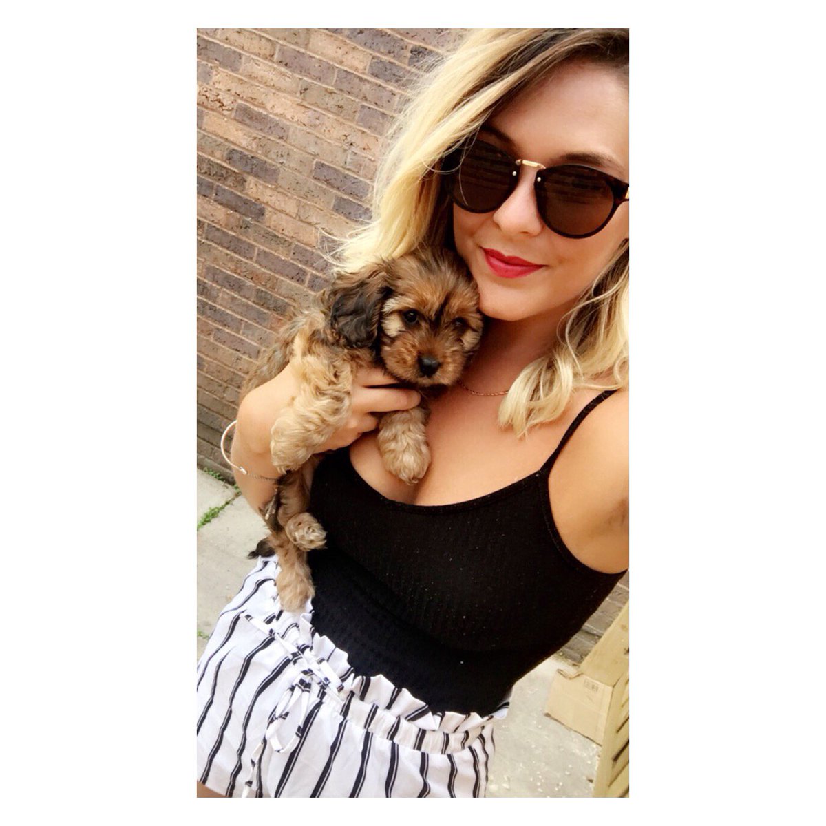 My puppy’s better than your puppy 🙊 #cavapoo #doxipoo #puppy