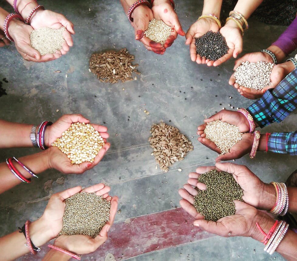 Seeds are a gift of nature and of diverse cultures not a corporate invention. Passing on this ancient heritage from generation to generation is a human duty and responsibility. Seeds are common property resource, to be shared for the well being of all &amp; of the future generations