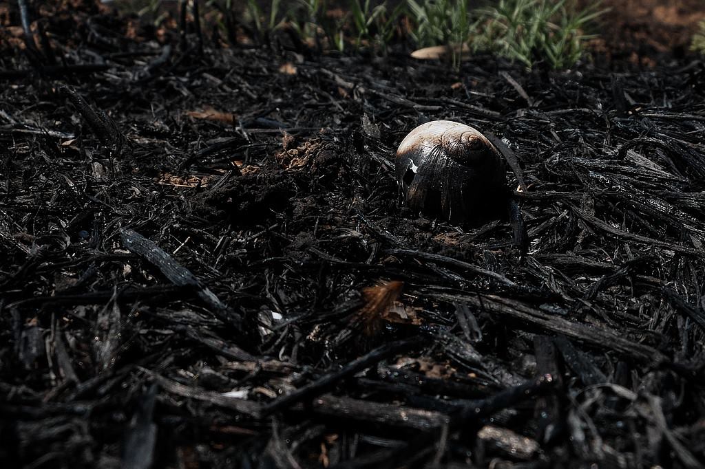 ���� ���� ������ �� ���� ������