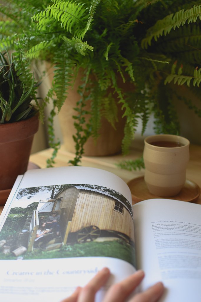 somewhere_OG's tweet photo. An appreciation for nature isn't just limited to those fortunate enough to live surrounded by wild woodlands or a mountain backdrop - it's an invitation for you to notice the world around you.
@creativecside is a publication that invites you to do just that. #creativecountryside https://t.co/LwOtsyvQol