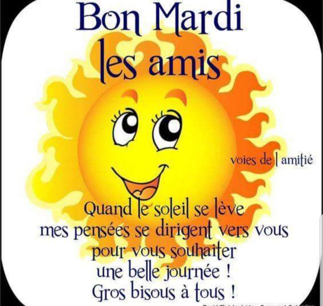 Mimi Bonjour Alexine J Espere Que Tu Vas Bien Bel Ete A Toi Et Tous Photographie Ligurie Italie T Co Sc7ksgdbs5