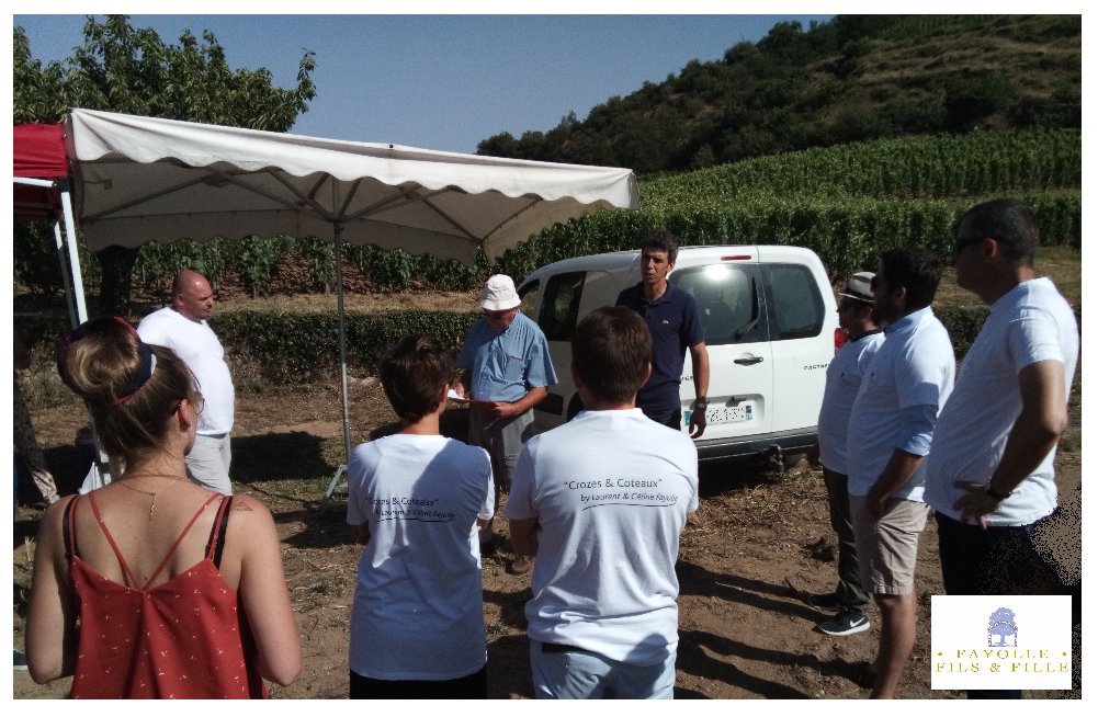 CaveFayolleFetF's tweet photo. Présentation privée du vignoble familial #fayollefils&amp;fille #gervans #crozes&amp;coteaux en présence de #GeorgesTruc, oenogéologue renommé
#vin #lecloslescornirets #lespontaix #crozeshermitage #laurentfayolle #oenotourisme https://t.co/Osb5KMOjbt